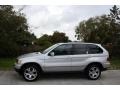 2001 Titanium Silver Metallic BMW X5 4.4i  photo #3