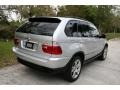 2001 Titanium Silver Metallic BMW X5 4.4i  photo #9