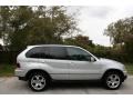 2001 Titanium Silver Metallic BMW X5 4.4i  photo #11