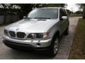 2001 Titanium Silver Metallic BMW X5 4.4i  photo #16