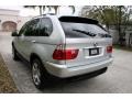 2001 Titanium Silver Metallic BMW X5 4.4i  photo #17