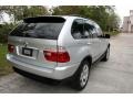 2001 Titanium Silver Metallic BMW X5 4.4i  photo #18