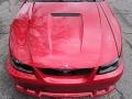 2000 Laser Red Metallic Ford Mustang Saleen S281 Speedster  photo #17
