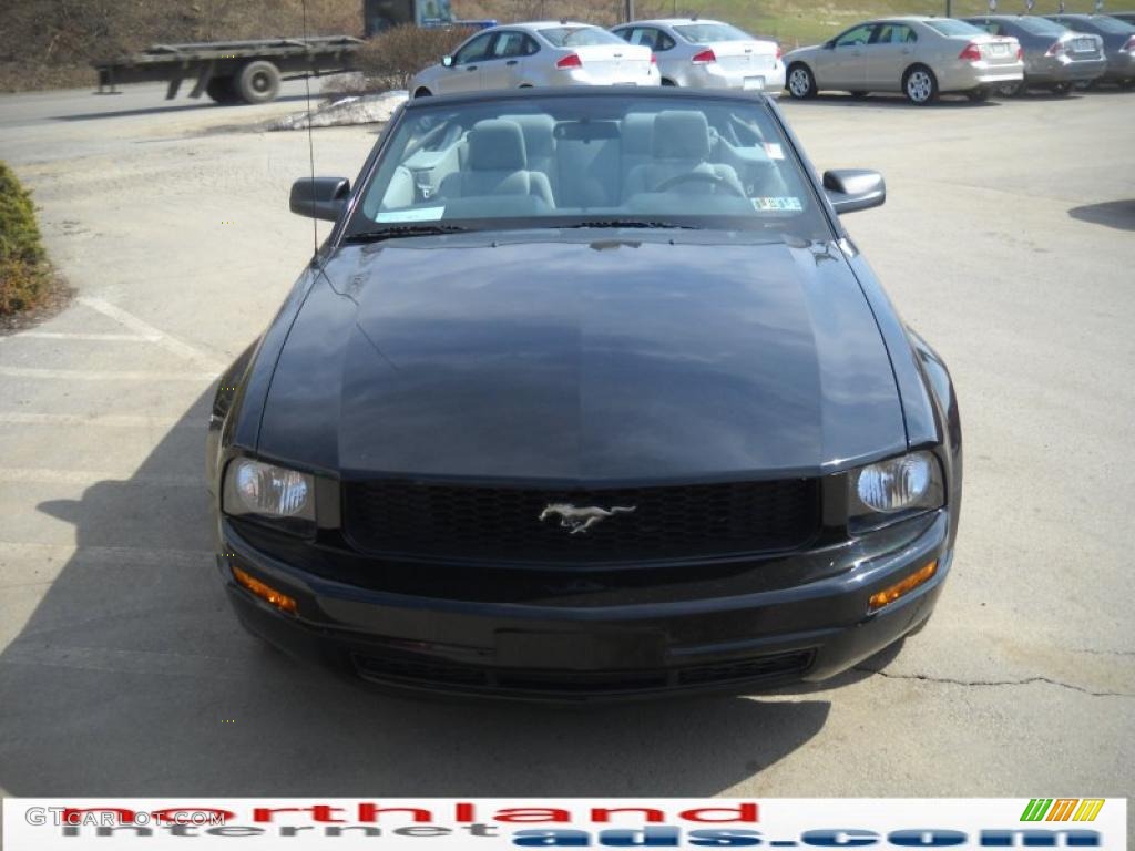 2009 Mustang V6 Convertible - Black / Light Graphite photo #3