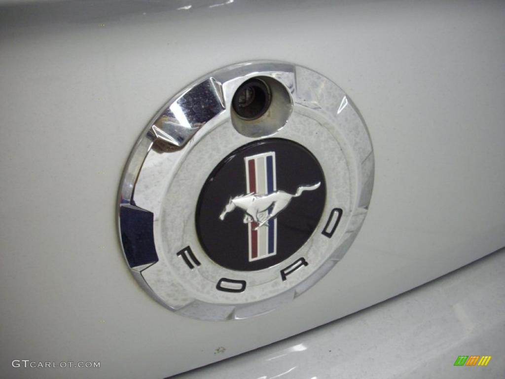 2008 Mustang V6 Deluxe Convertible - Brilliant Silver Metallic / Light Graphite photo #13