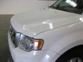 2009 Oxford White Ford Escape XLT V6 4WD  photo #19