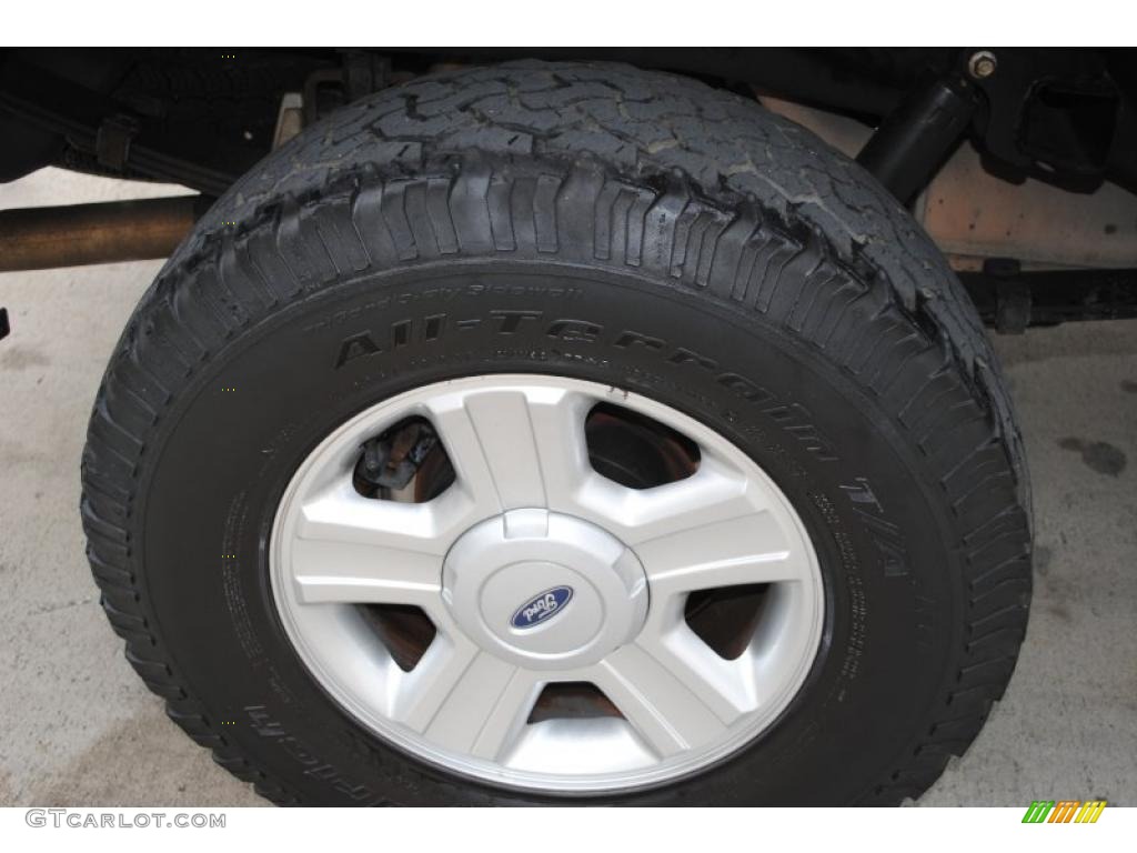 2004 F150 XLT Regular Cab 4x4 - Oxford White / Dark Flint photo #61