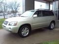 Millenium Silver Metallic - Highlander Hybrid Limited Photo No. 18