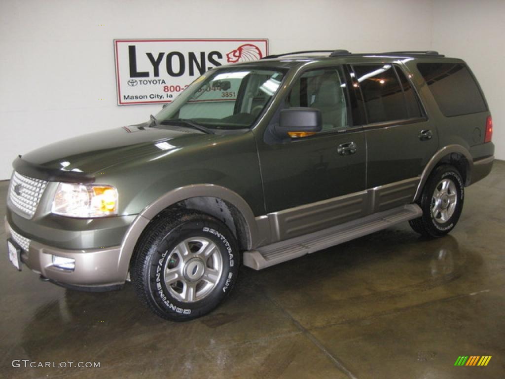2003 Expedition Eddie Bauer 4x4 - Aspen Green Metallic / Medium Parchment photo #1