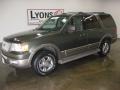 2003 Aspen Green Metallic Ford Expedition Eddie Bauer 4x4  photo #1