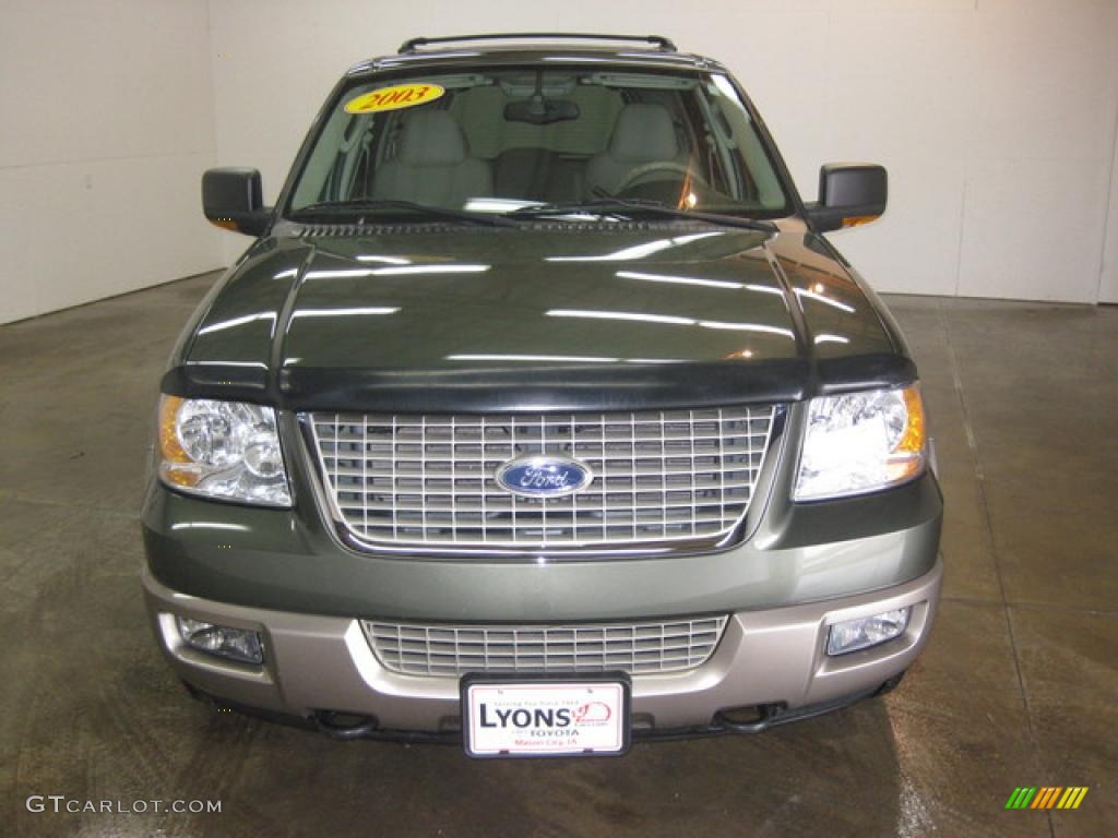 2003 Expedition Eddie Bauer 4x4 - Aspen Green Metallic / Medium Parchment photo #2