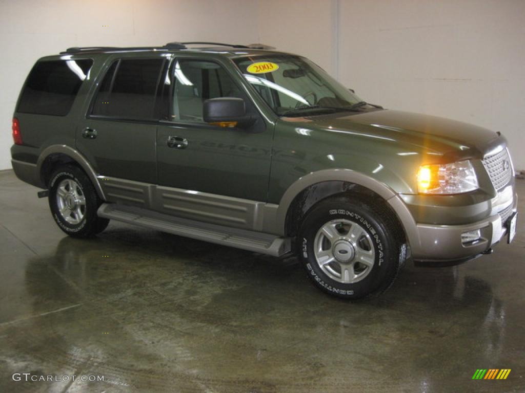 2003 Expedition Eddie Bauer 4x4 - Aspen Green Metallic / Medium Parchment photo #3