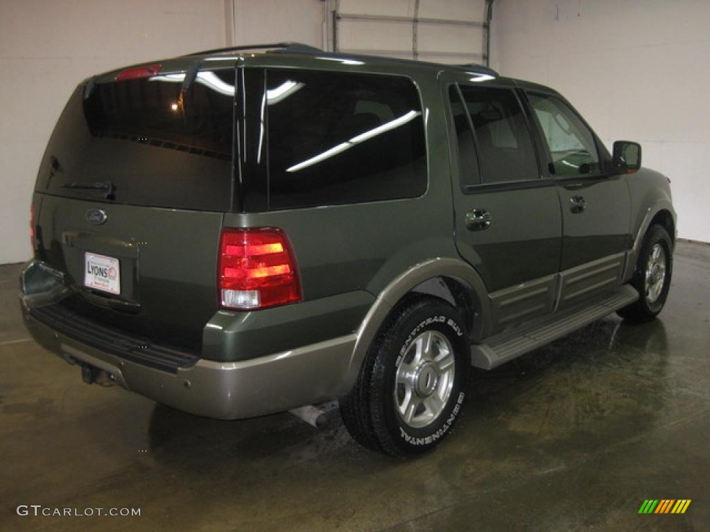 2003 Expedition Eddie Bauer 4x4 - Aspen Green Metallic / Medium Parchment photo #4