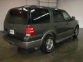 2003 Aspen Green Metallic Ford Expedition Eddie Bauer 4x4  photo #4