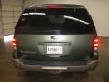 2003 Aspen Green Metallic Ford Expedition Eddie Bauer 4x4  photo #5