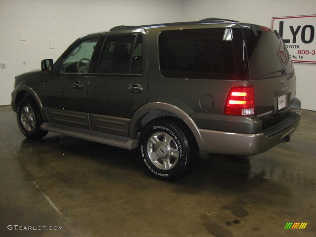 2003 Expedition Eddie Bauer 4x4 - Aspen Green Metallic / Medium Parchment photo #6