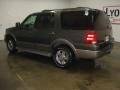 2003 Aspen Green Metallic Ford Expedition Eddie Bauer 4x4  photo #6