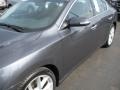Dark Slate Metallic - Maxima 3.5 SV Photo No. 8