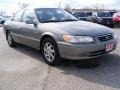 Antique Sage Pearl - Camry XLE Photo No. 1