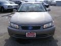 Antique Sage Pearl - Camry XLE Photo No. 8
