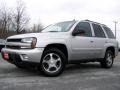 Silverstone Metallic - TrailBlazer LS 4x4 Photo No. 5