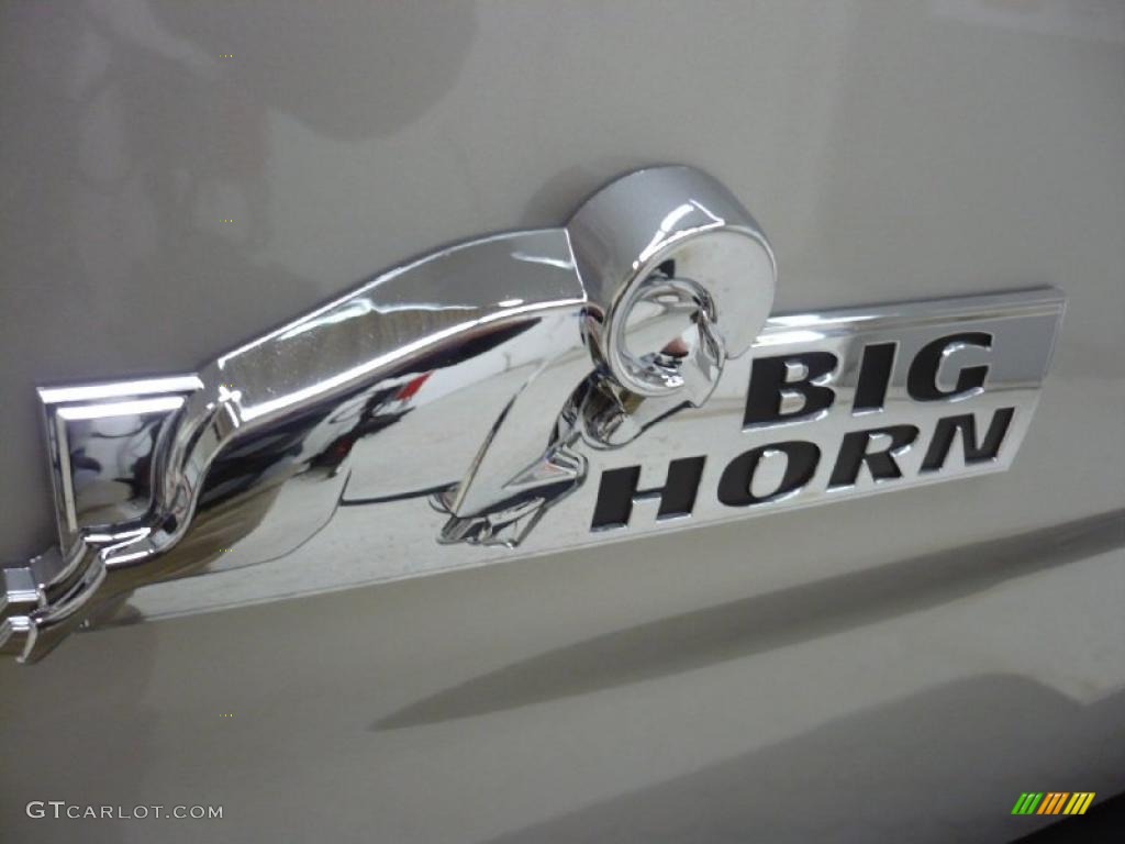 2010 Ram 1500 Big Horn Crew Cab 4x4 - Bright Silver Metallic / Dark Slate/Medium Graystone photo #10