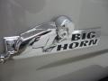 2010 Bright Silver Metallic Dodge Ram 1500 Big Horn Crew Cab 4x4  photo #10