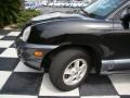 2004 Black Obsidian Hyundai Santa Fe GLS  photo #31