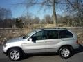 Titanium Silver Metallic - X5 3.0i Photo No. 2