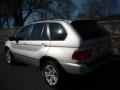 Titanium Silver Metallic - X5 3.0i Photo No. 10
