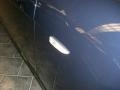 2008 Monaco Blue Metallic BMW 7 Series 750Li Sedan  photo #18
