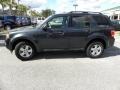 2009 Sterling Grey Metallic Ford Escape XLT V6 4WD  photo #2