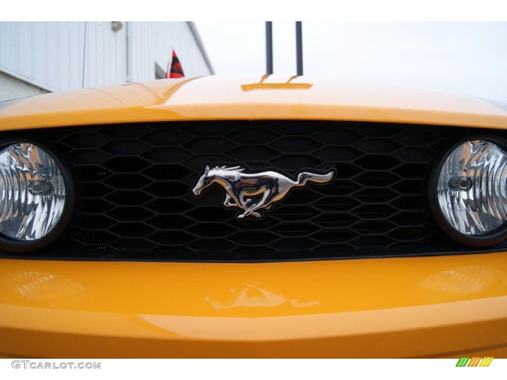 2007 Mustang GT Deluxe Coupe - Grabber Orange / Dark Charcoal photo #10