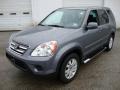 Pewter Pearl - CR-V Special Edition 4WD Photo No. 2