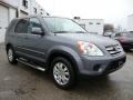 Pewter Pearl - CR-V Special Edition 4WD Photo No. 5