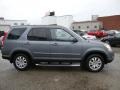 Pewter Pearl - CR-V Special Edition 4WD Photo No. 6