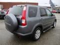 Pewter Pearl - CR-V Special Edition 4WD Photo No. 8
