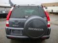 Pewter Pearl - CR-V Special Edition 4WD Photo No. 9
