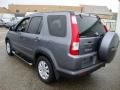 Pewter Pearl - CR-V Special Edition 4WD Photo No. 10