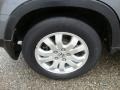 Pewter Pearl - CR-V Special Edition 4WD Photo No. 26