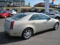 Gold Mist - CTS Sedan Photo No. 5