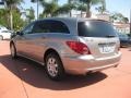 2007 Pewter Metallic Mercedes-Benz R 350 4Matic  photo #6