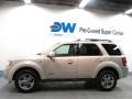 2008 Light Sage Metallic Ford Escape Limited 4WD  photo #5