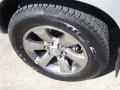 Titanium Metallic - 4Runner SR5 Photo No. 7