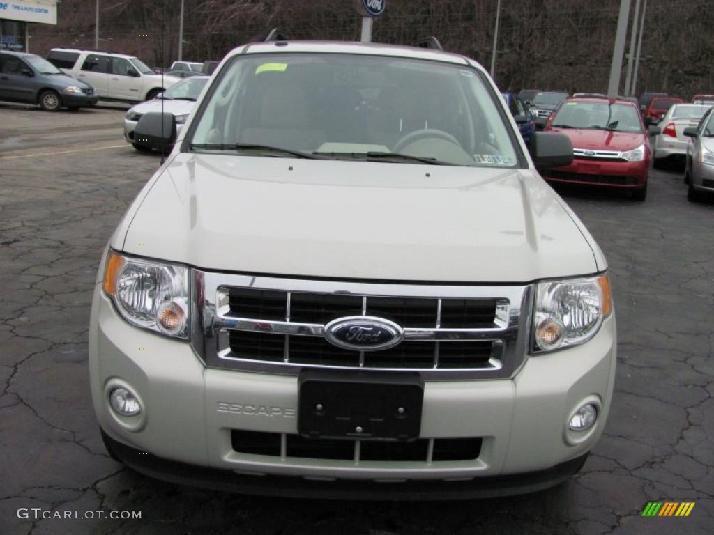 2009 Escape XLT V6 4WD - Sterling Grey Metallic / Stone photo #3