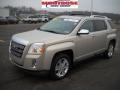 2010 Gold Mist Metallic GMC Terrain SLT AWD  photo #20