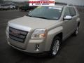 2010 Gold Mist Metallic GMC Terrain SLT AWD  photo #21