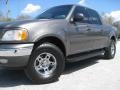 2002 Dark Shadow Grey Metallic Ford F150 XLT SuperCrew 4x4  photo #4