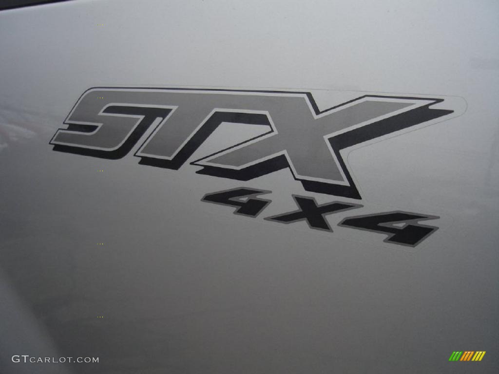 2006 F150 STX SuperCab 4x4 - Silver Metallic / Medium/Dark Flint photo #13