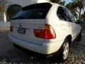 Alpine White - X5 4.4i Photo No. 6